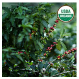 Peru Organic Minca